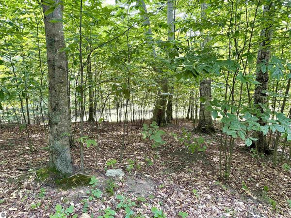 15 Mistys Trail S, Empire, MI 49630