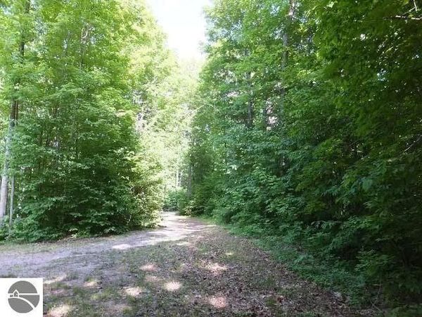 2228 Northwoods Drive, Benzonia, MI 49616