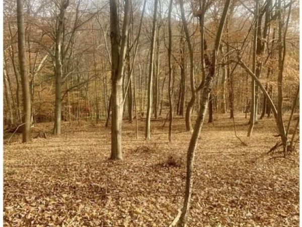 85 Cherryville Hollow Rd, Raritan, NJ 08822