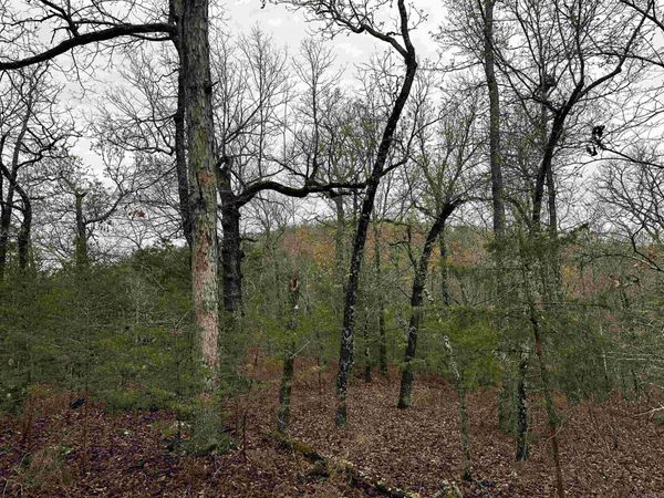 001-00447-000 MC 6037 , Yellville, AR 72687