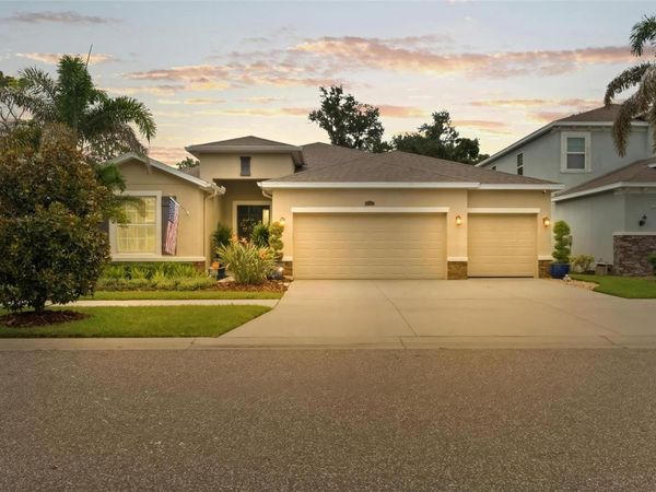 10321 RIVERDALE RISE DRIVE , RIVERVIEW, FL 33578