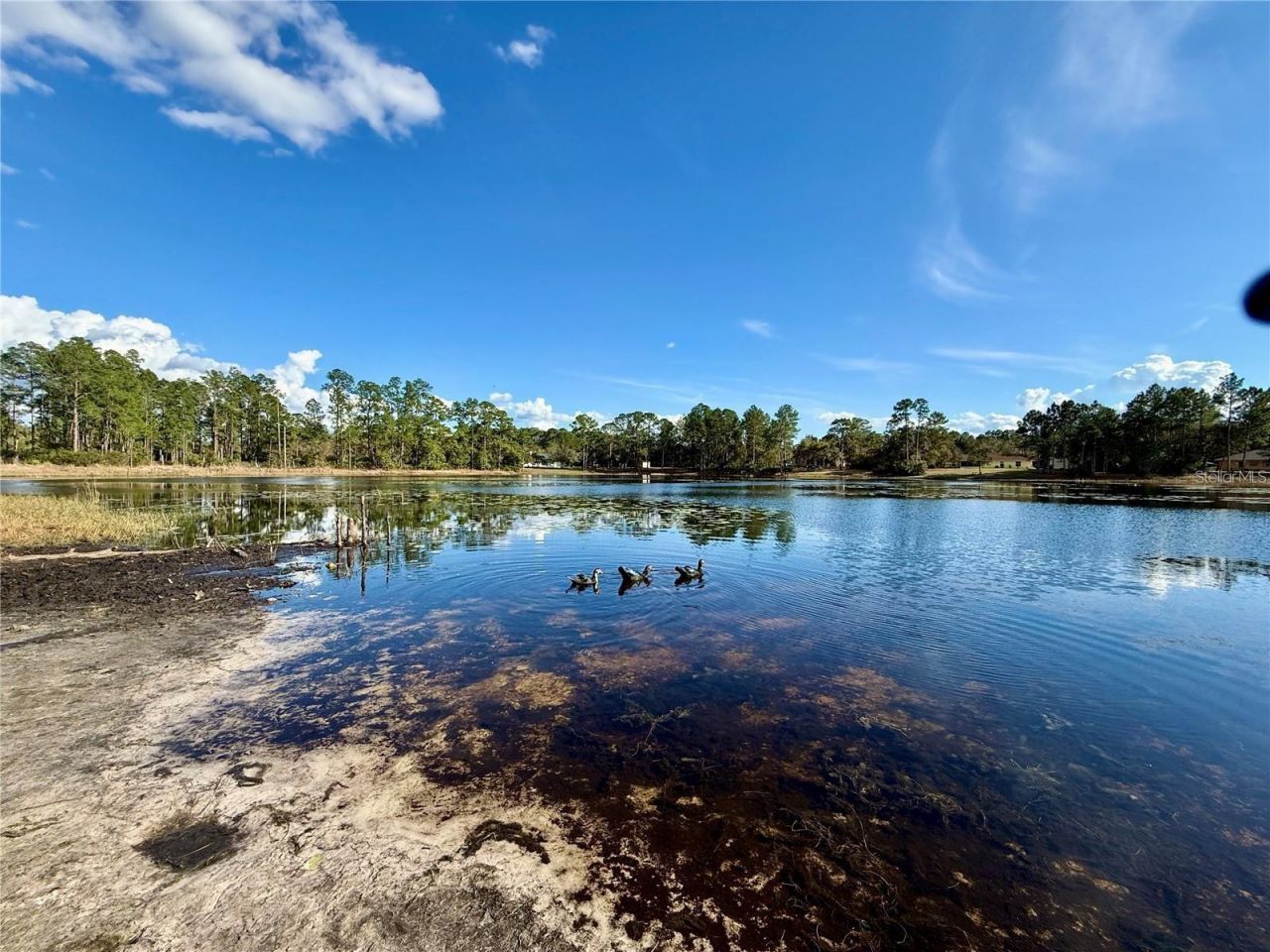 39627 Greenbrier Street , Eustis, FL 32736 Photo