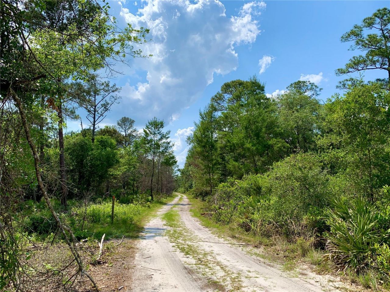 39627 Greenbrier Street , Eustis, FL 32736 Photo