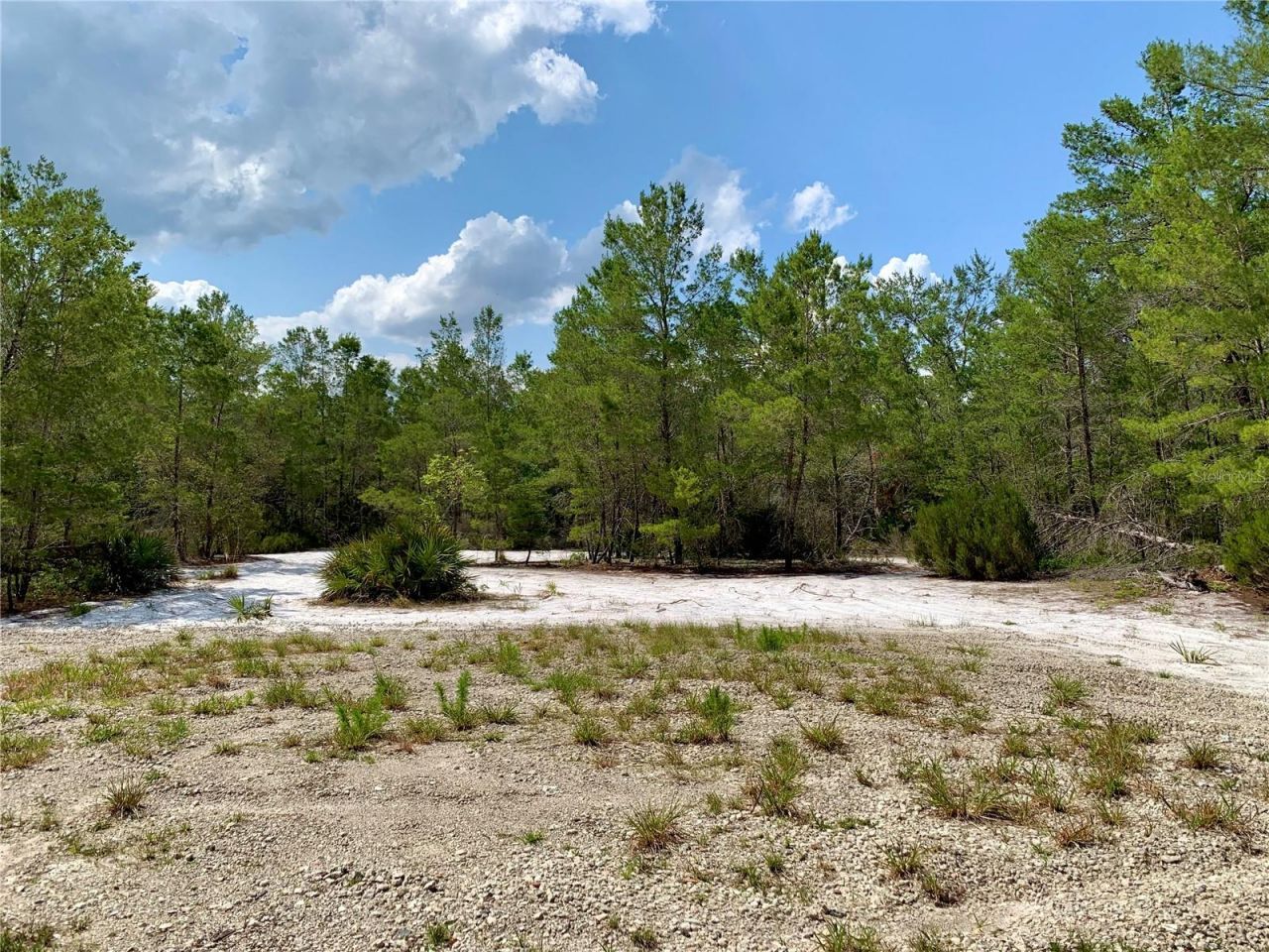 39627 Greenbrier Street , Eustis, FL 32736 Photo