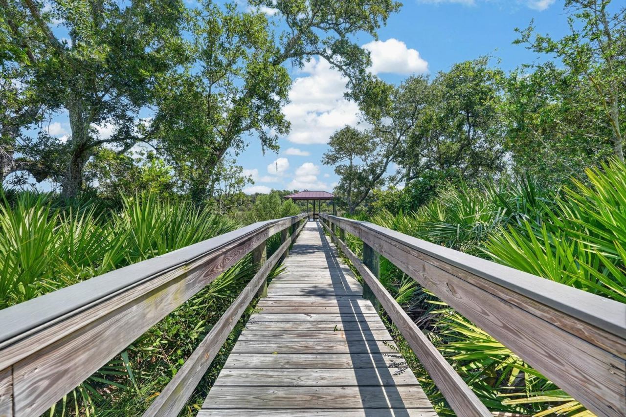 8 Lexington Court, Flagler Beach, FL 32136 Photo