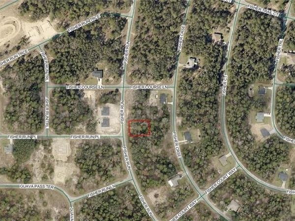 9037-1206-15 Fisher RUN , OCKLAWAHA, FL 32179