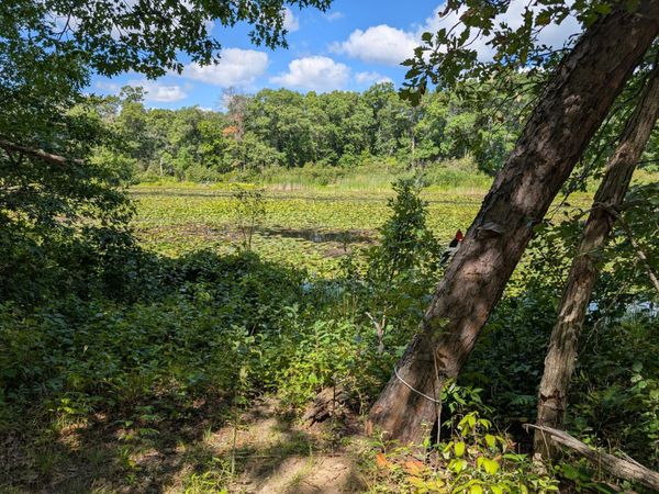 Lot 9 block 1 Fawn Lake Road , Cross Lake, MN 56442