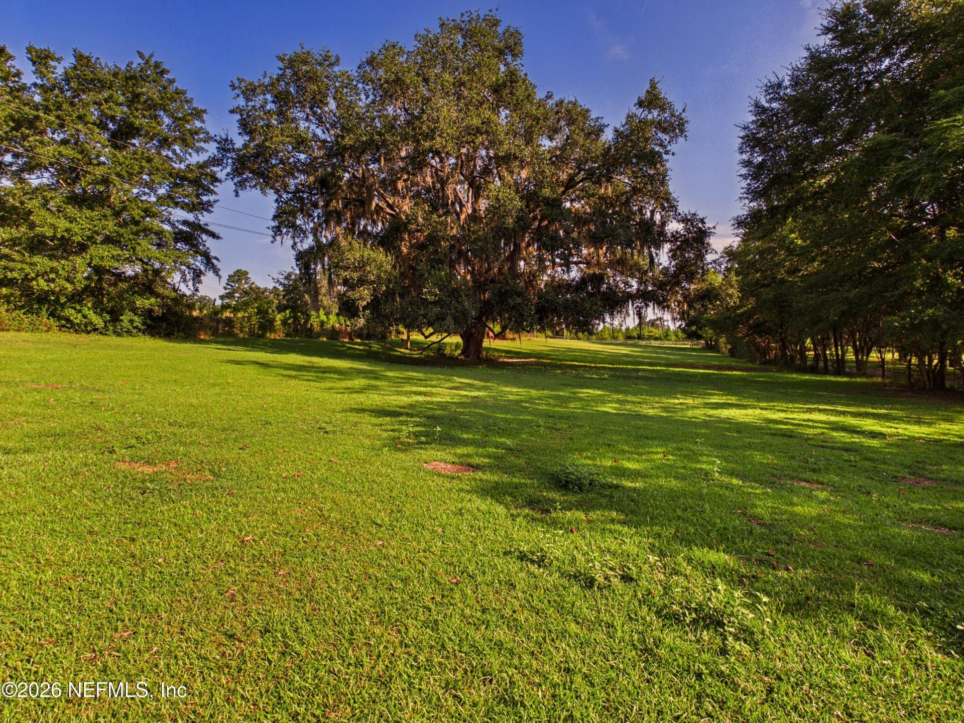 421 NW Bailey Grade Road, Greenville, FL 32331 Photo