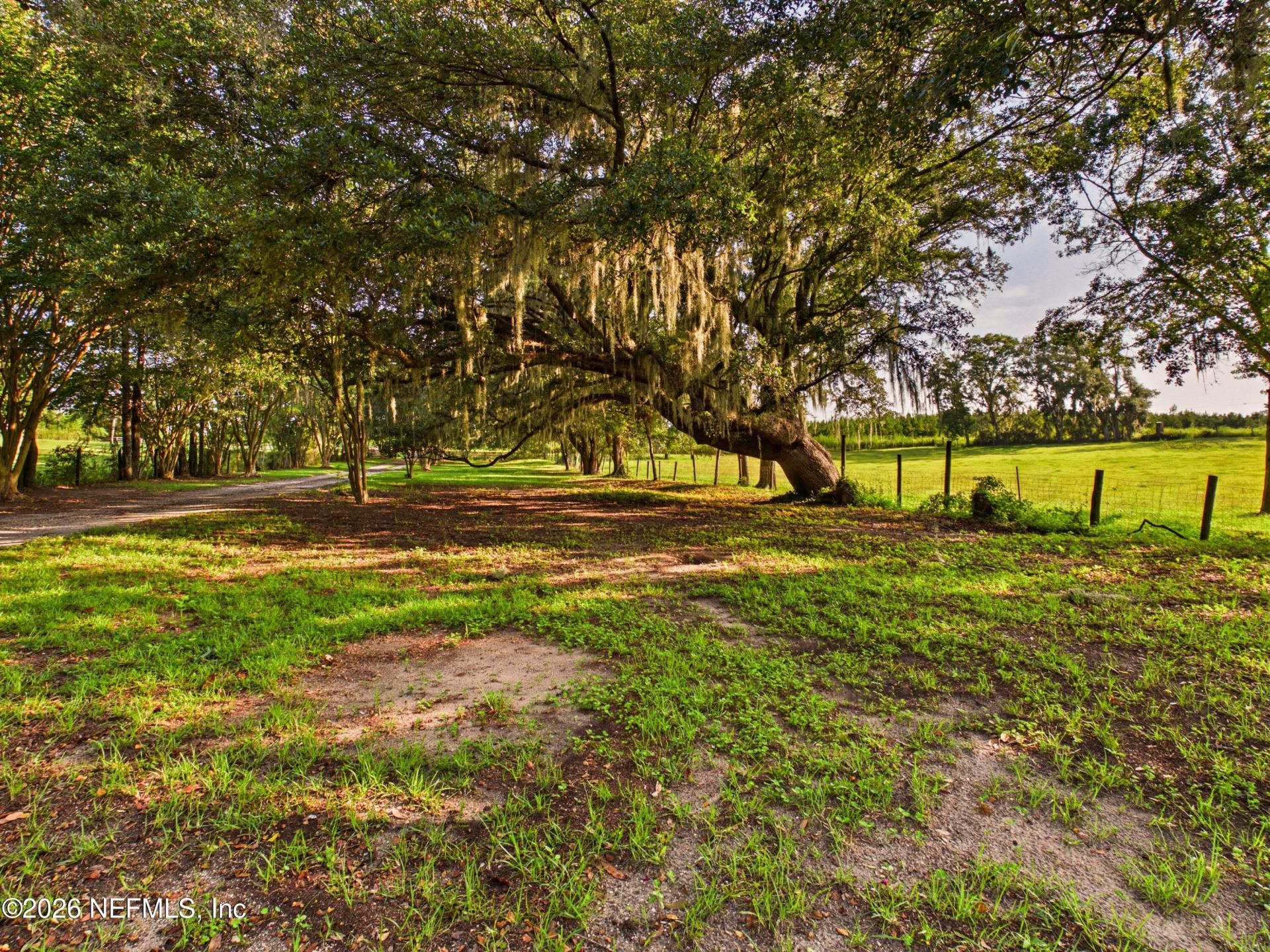 421 NW Bailey Grade Road, Greenville, FL 32331 Photo