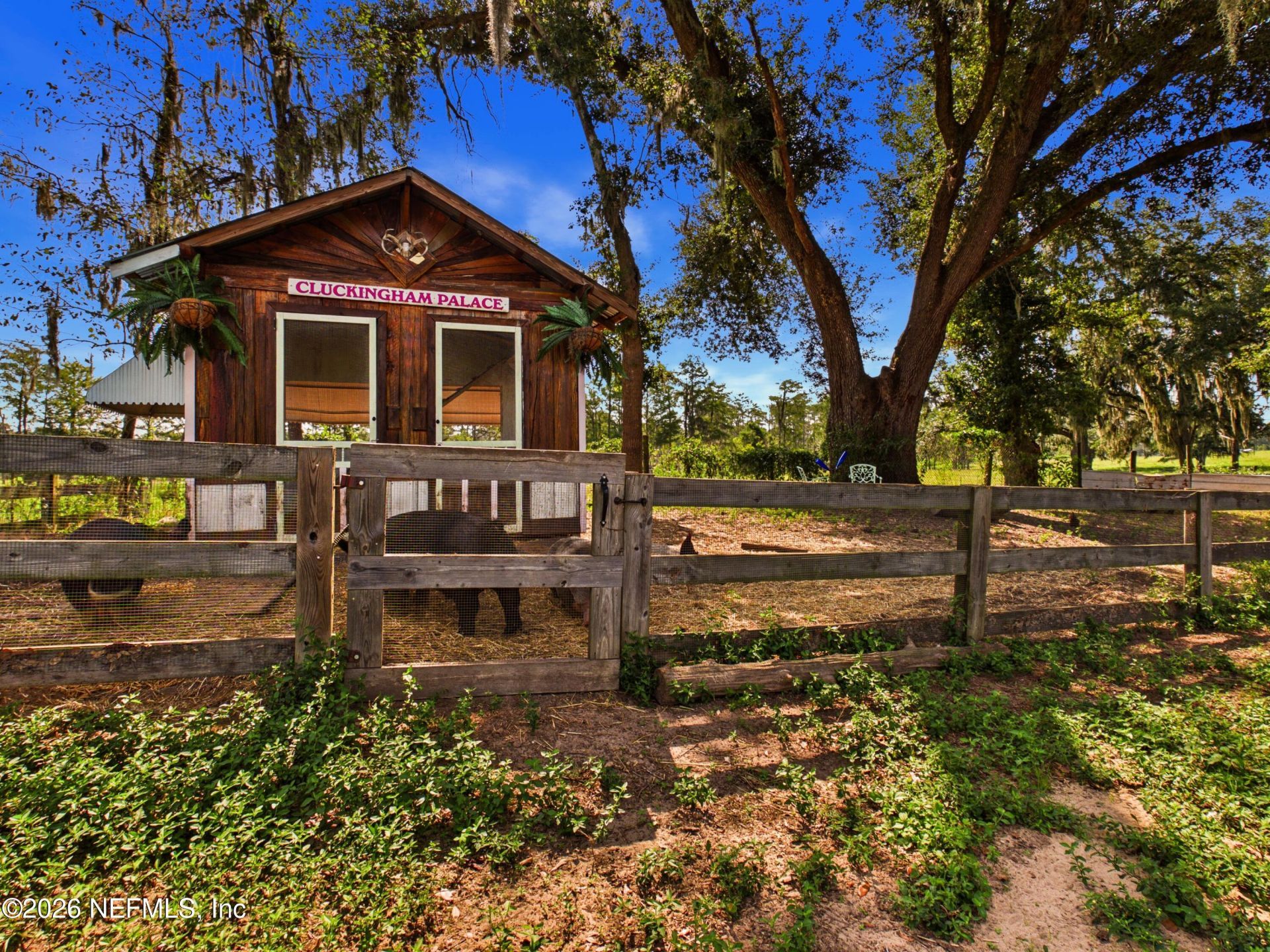 421 NW Bailey Grade Road, Greenville, FL 32331 Photo