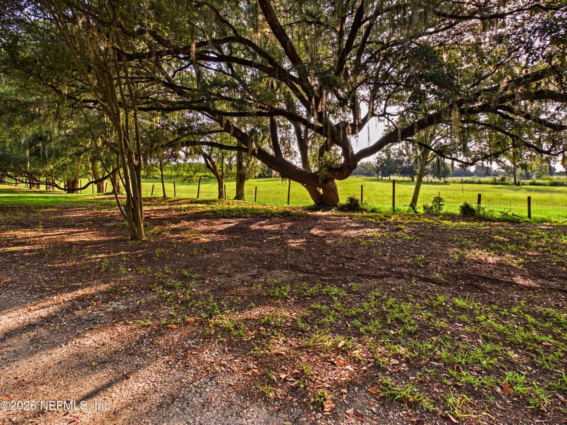 421 NW Bailey Grade Road, Greenville, FL 32331 Photo