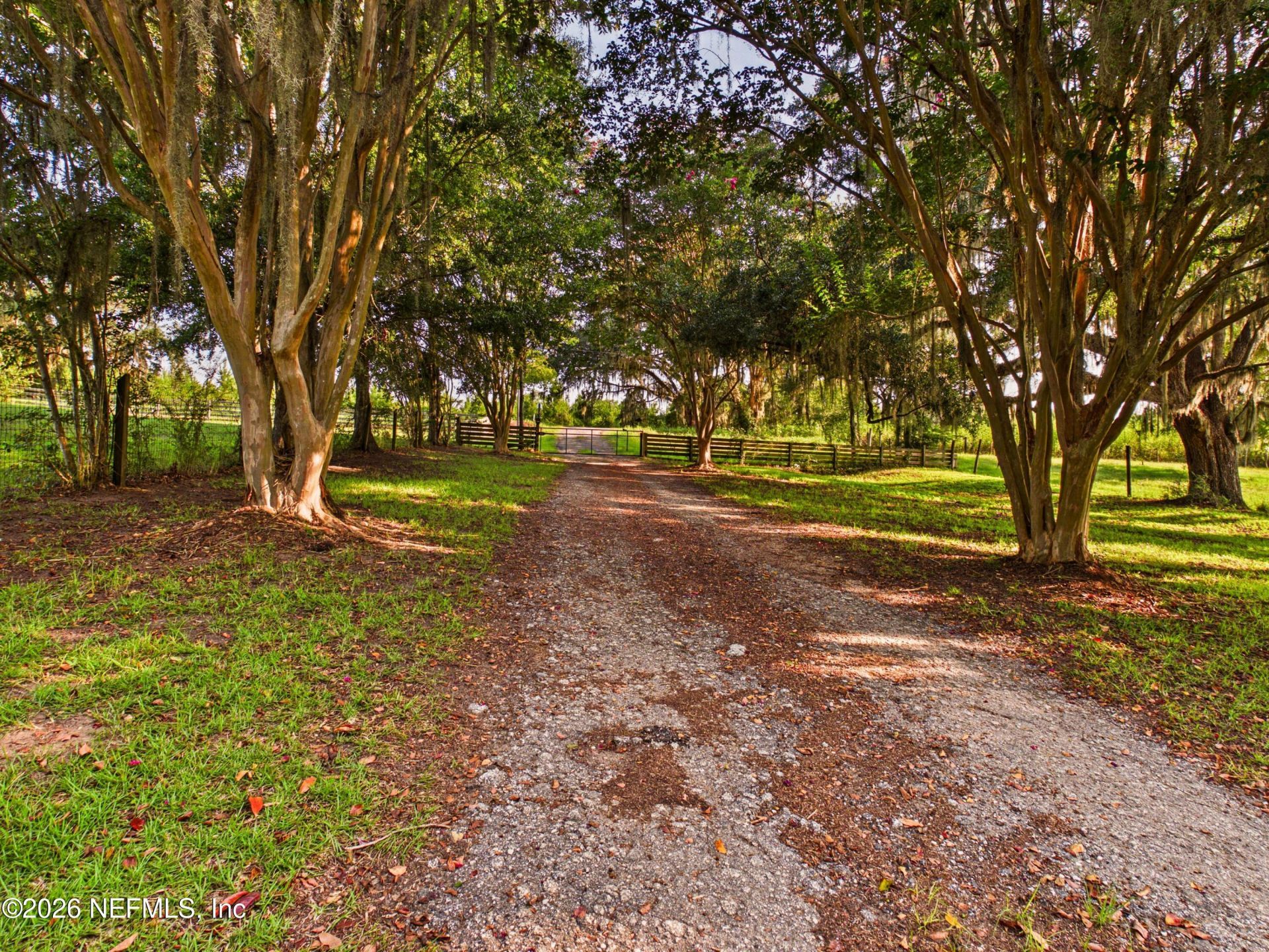 421 NW Bailey Grade Road, Greenville, FL 32331 Photo