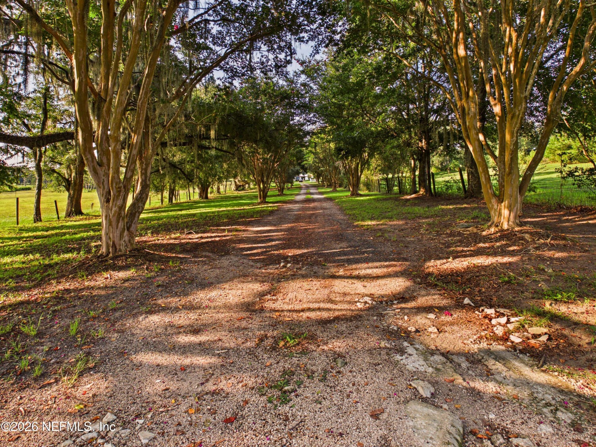 421 NW Bailey Grade Road, Greenville, FL 32331 Photo