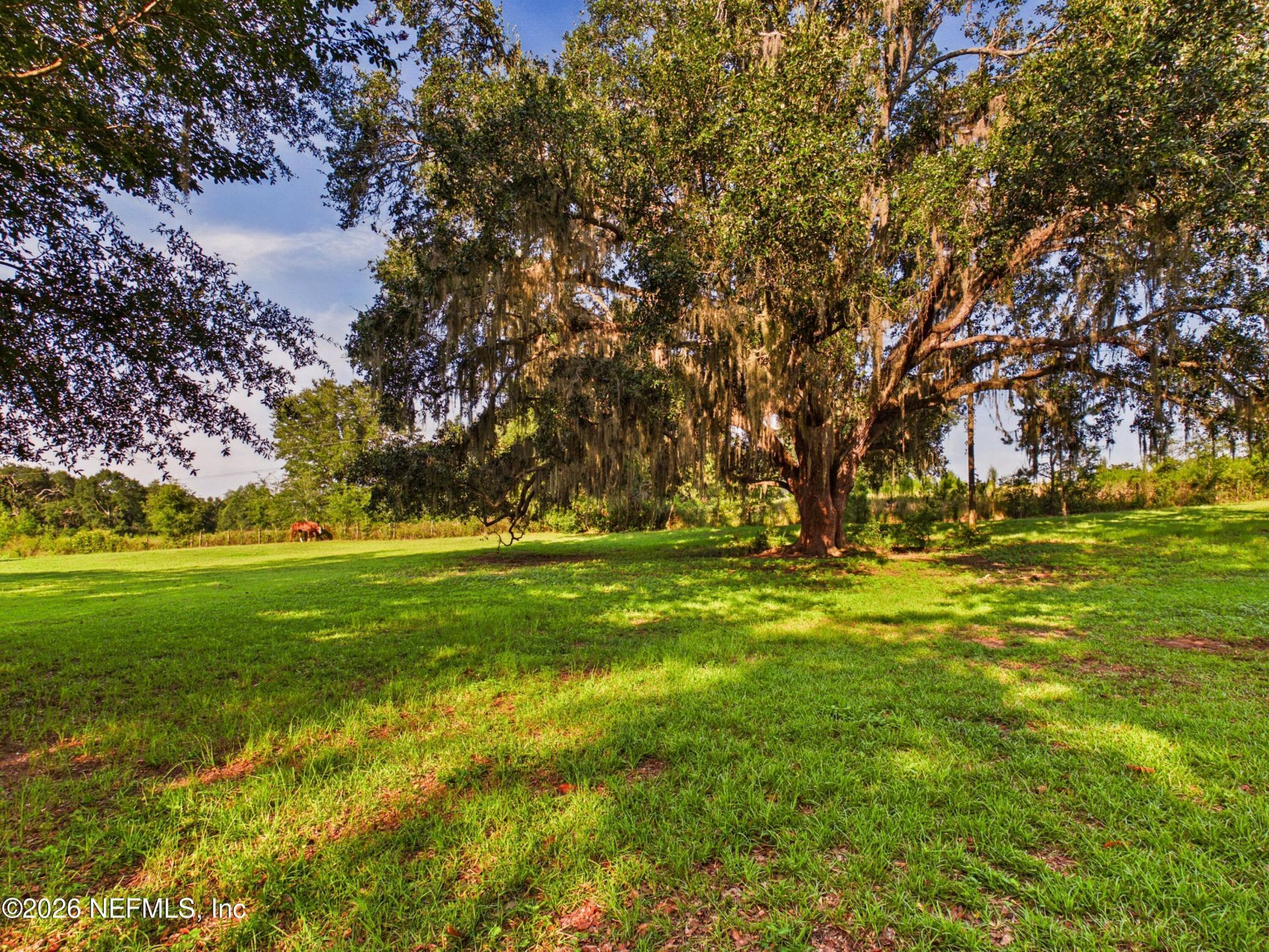 421 NW Bailey Grade Road, Greenville, FL 32331 Photo