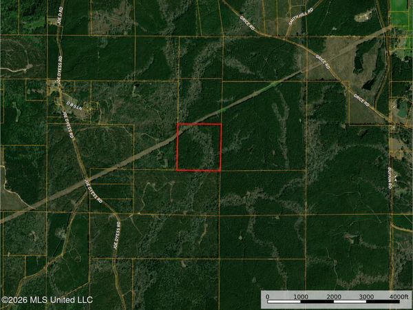 0000 N Joe Dyess Road, Carson, MS 39427
