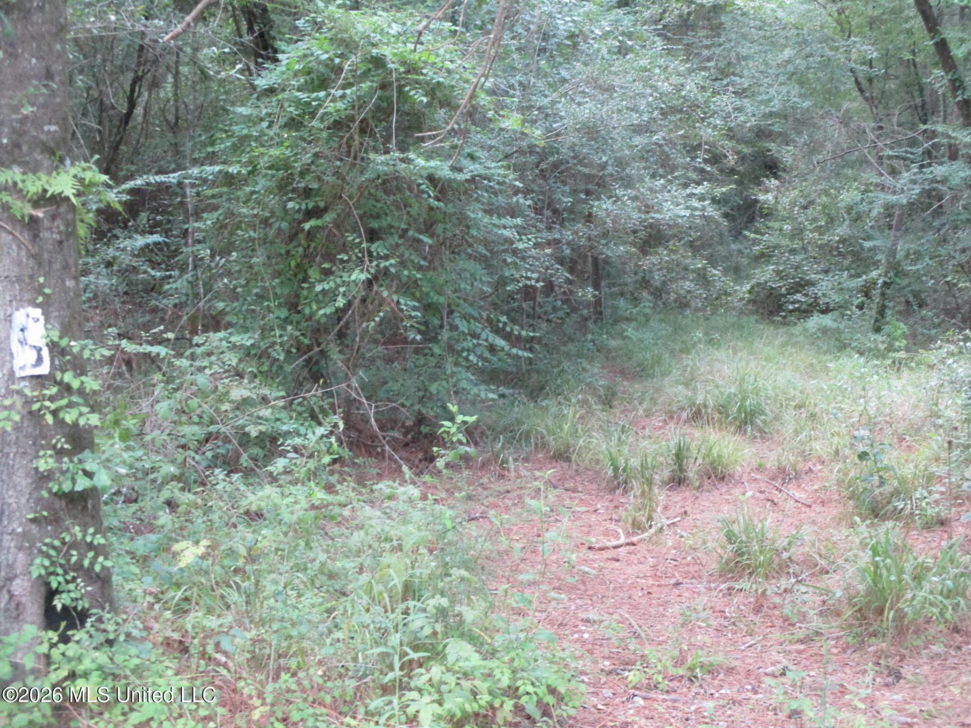 0000 N Joe Dyess Road, Carson, MS 39427 Main Photo
