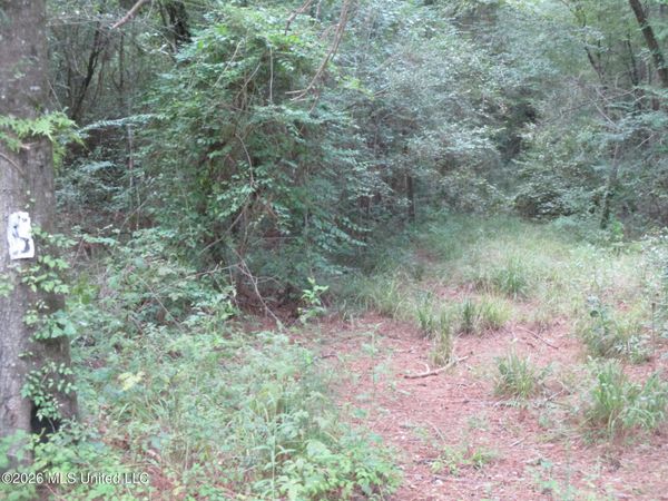 0000 N Joe Dyess Road, Carson, MS 39427