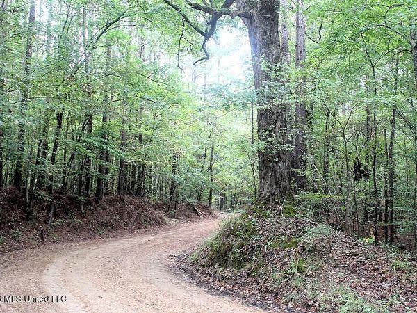John Chambers Road, Roxie, MS 39661