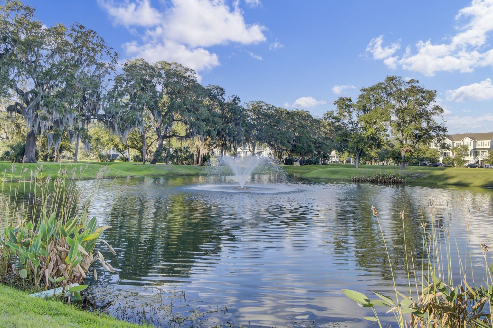 1505 Fort Palmetto Circle Photo 62