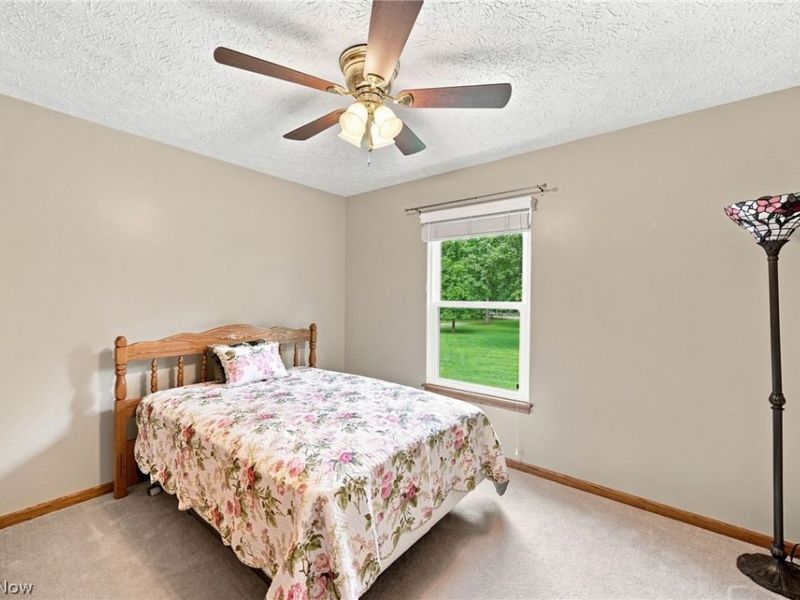 4033 Court Road, Wakeman, OH 44889 Photo 21