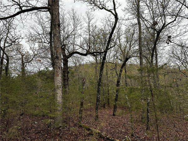 001-00447-000 MC 6037 , Yellville, AR