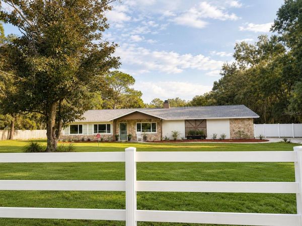 17238 BRIDLEPATH COURT , LUTZ, FL 33558