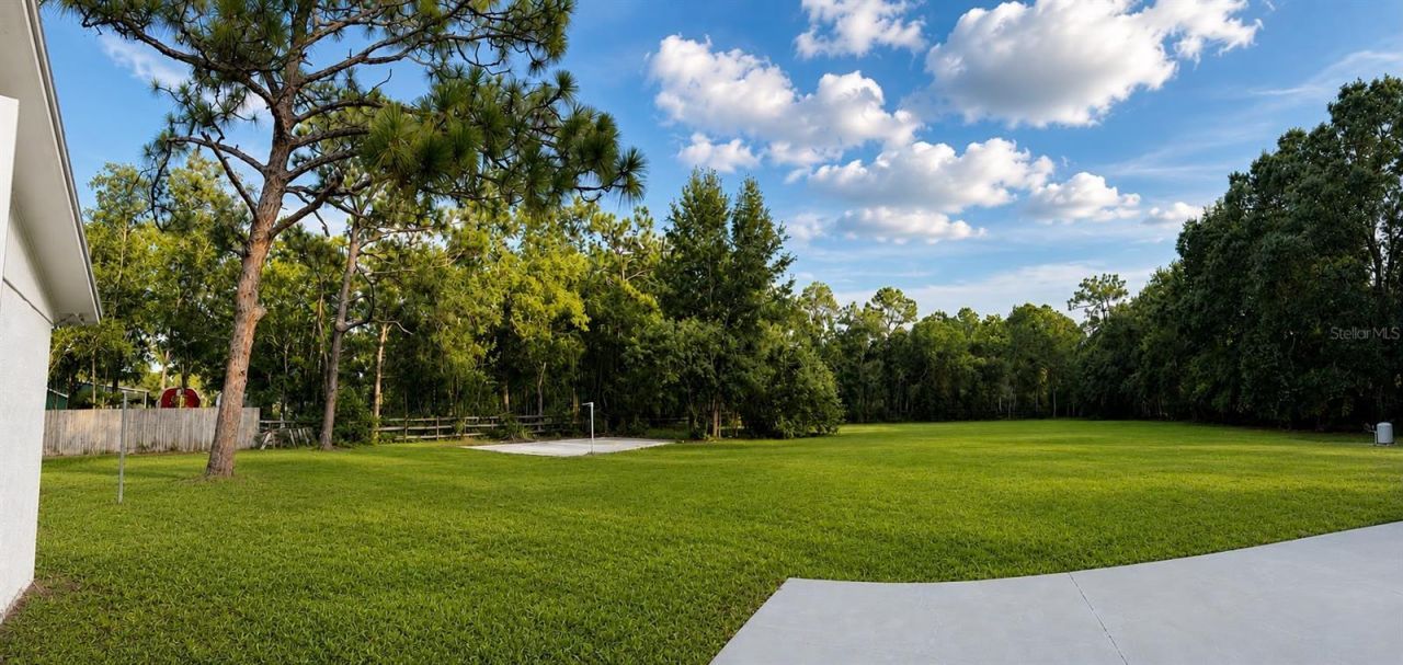 17238 Bridlepath Court, Lutz, FL 33558 Photo
