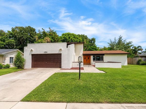11735 LIPSEY ROAD , TAMPA, FL 33618