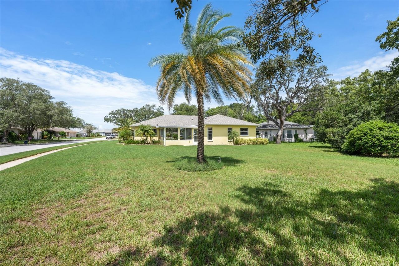 8643 Gold Pine Drive , Port Richey, FL 34668 Photo