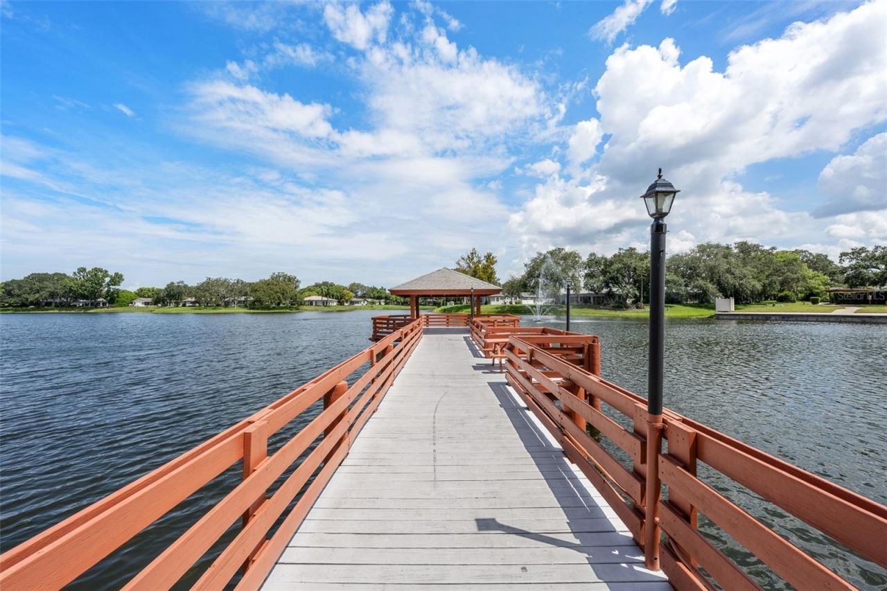 8643 Gold Pine Drive , Port Richey, FL 34668 Photo