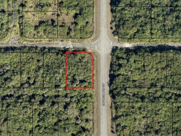 29-36-23-KV-02916 WALLCOTT STREET SW, PALM BAY, FL 32908