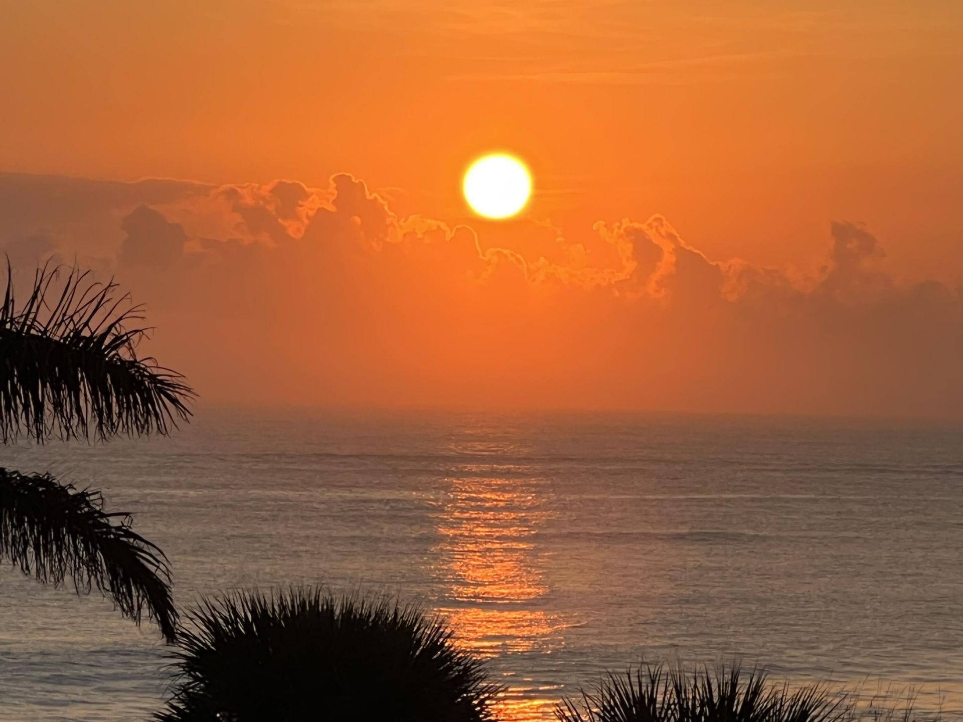 355 S Ocean Drive, Unit P-806, Fort Pierce, FL 34949 Photo