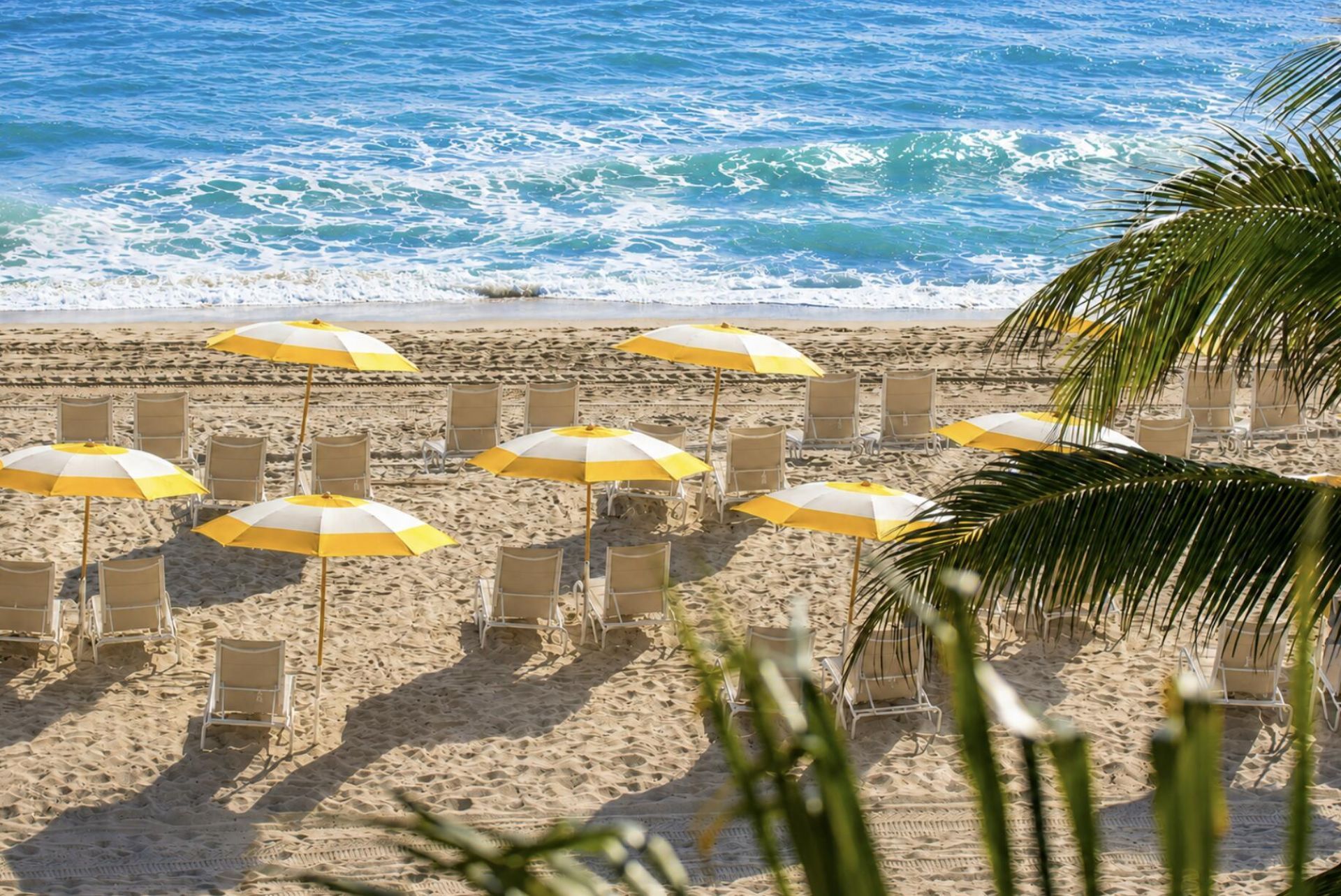 525 N Fort Lauderdale Beach Boulevard, Unit 1705, Fort Lauderdale, FL 33304 Photo