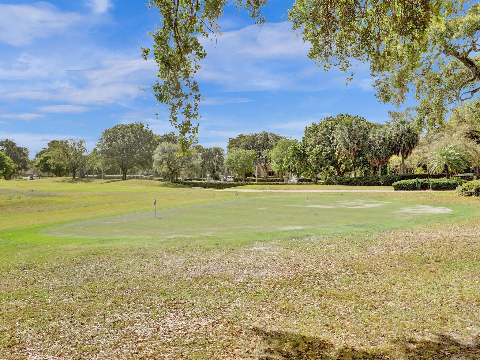 1811 Sabal Palm Drive, Unit 203, Davie, FL 33324 Photo