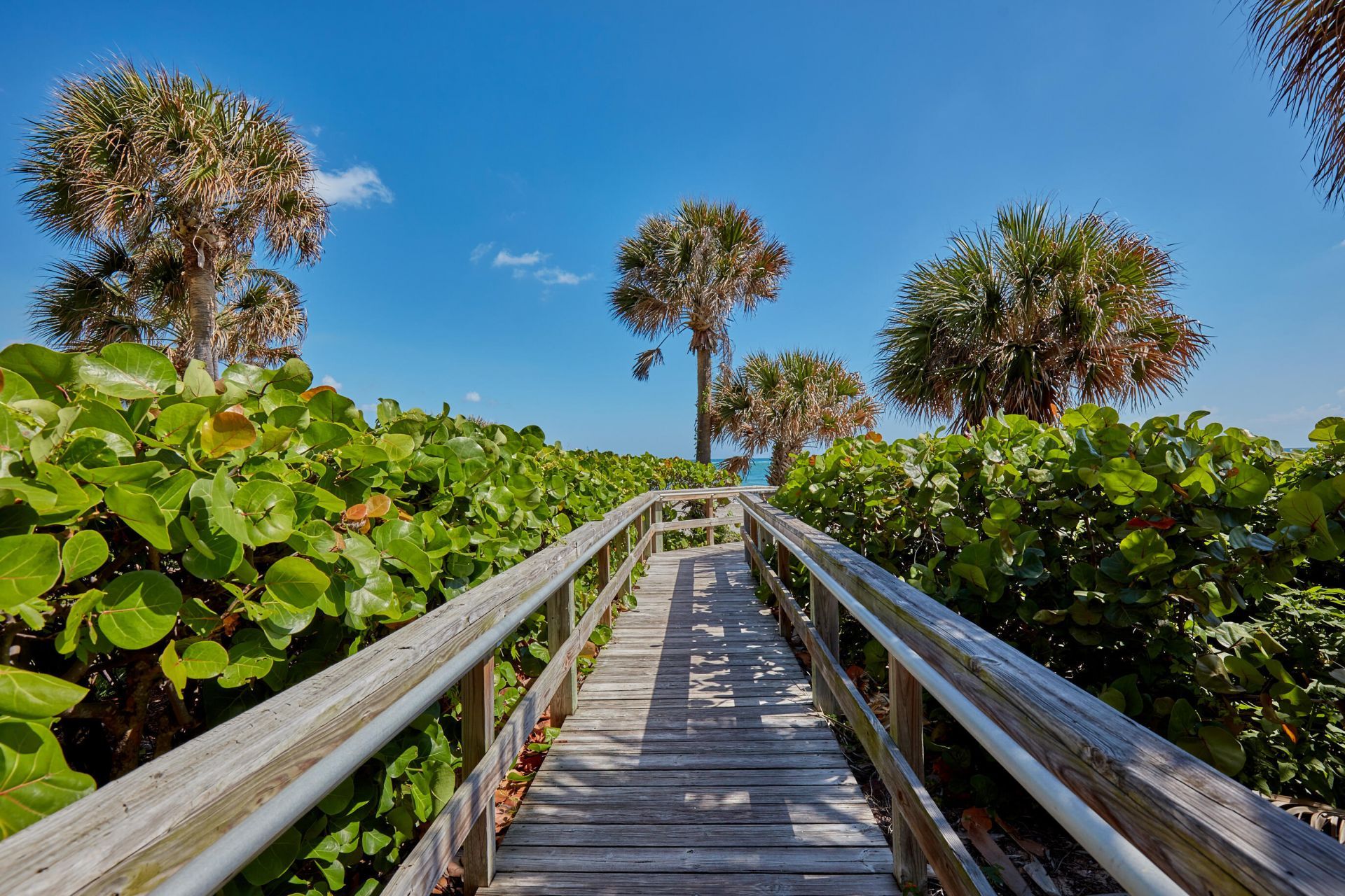 300 Ocean Trail Way, Unit 510, Jupiter, FL 33477 Photo