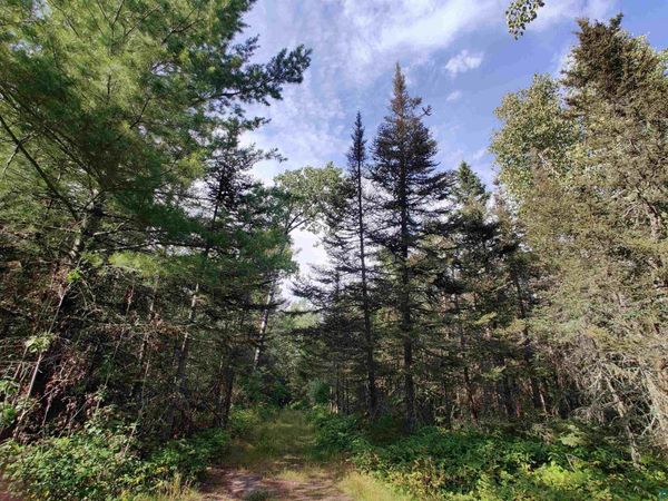 XXX Gauthier Rd, Hovland, MN 55606