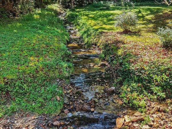 Tract 2R-3 Cold Springs Rd, Walland, TN 37886