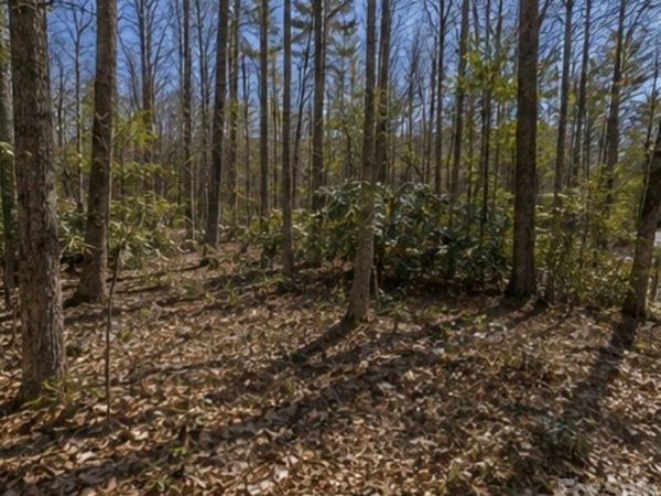 109 W Christy Trail , Sapphire, NC 28774