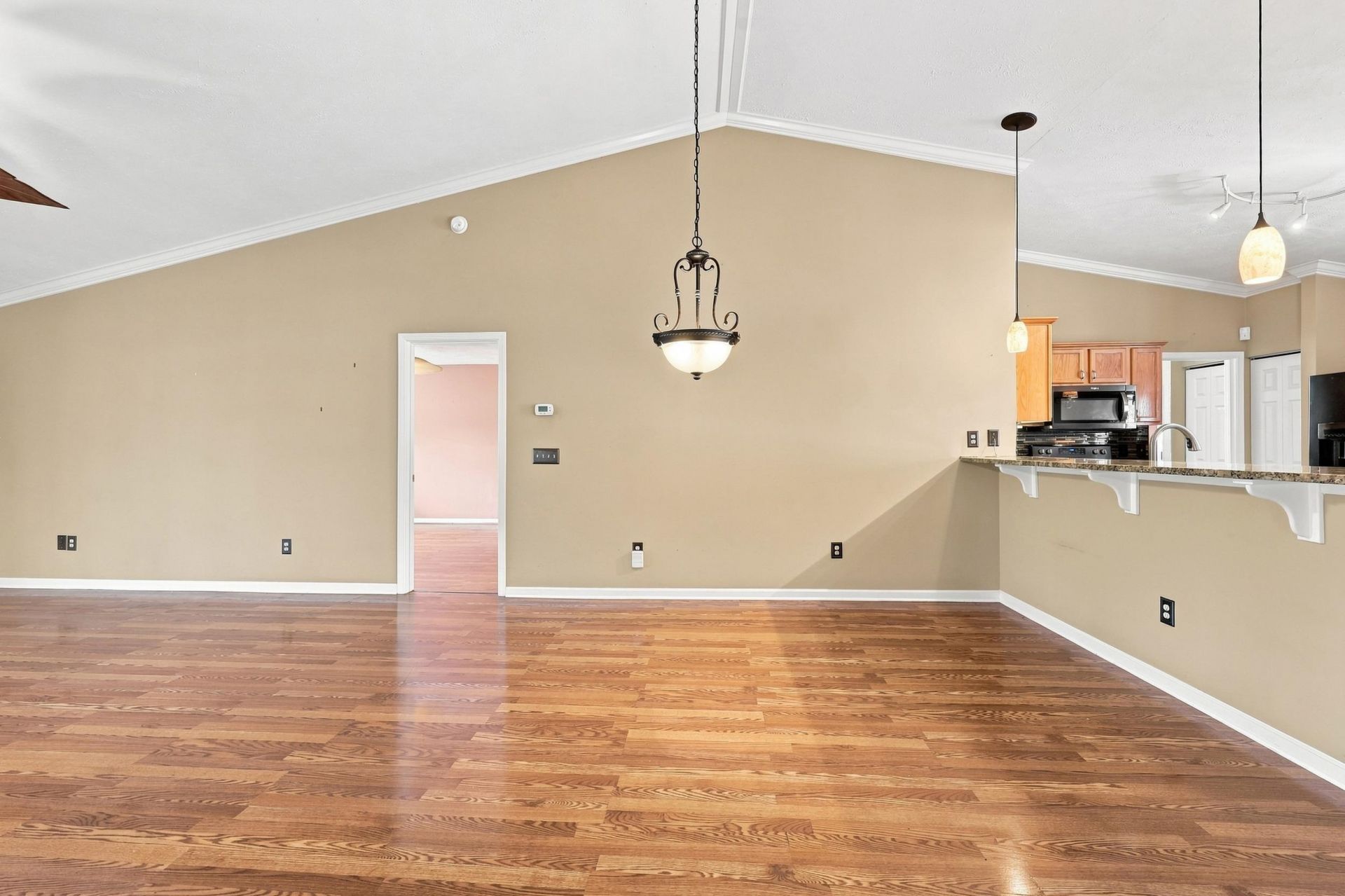 303 Vermillion Dr. Photo 17