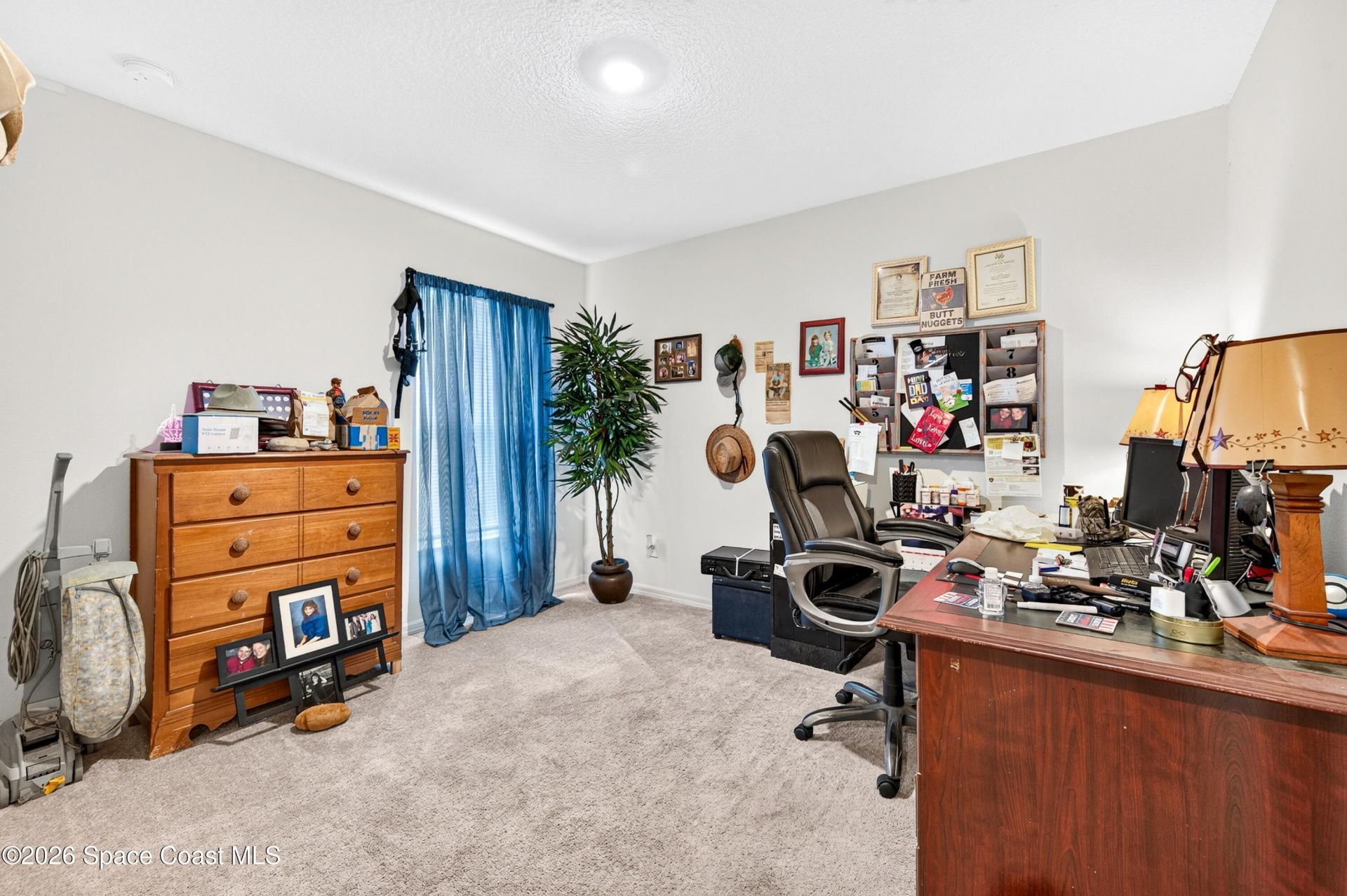 546 Ocean Spray Street Sw, Palm Bay, FL 32908 Photo