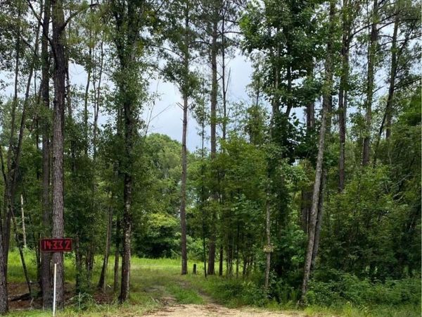 14332 Springfield Rd, Walker, LA 70785