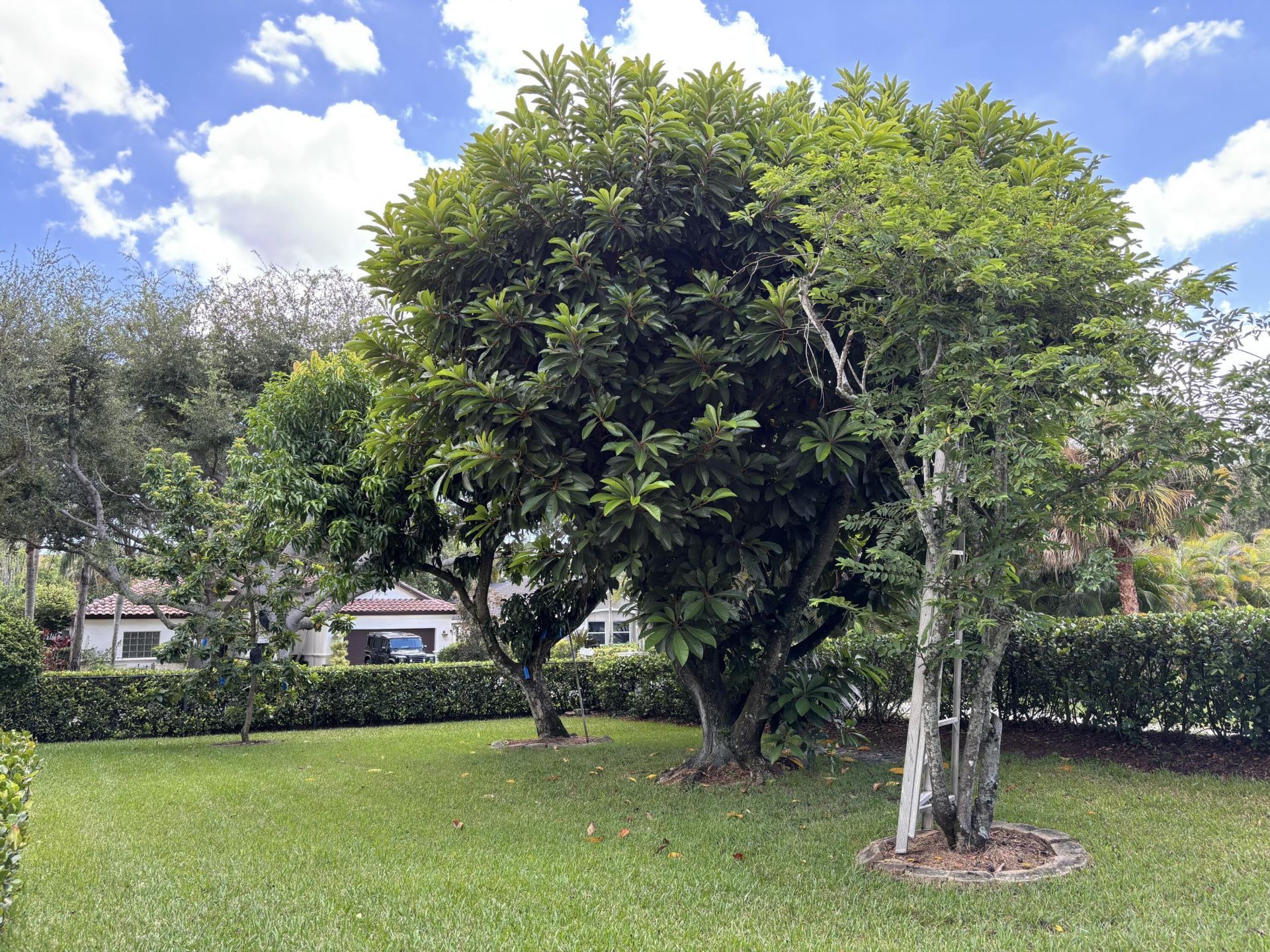 391 Mallard Point, Jupiter, FL 33458 Photo