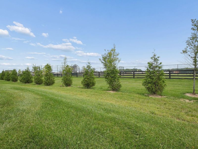 11762 Verbena Place, Plain City, OH 43064 Photo 40
