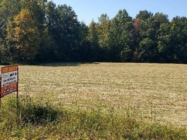 0 Rabe Coats Rd , Westmoreland, TN 37186
