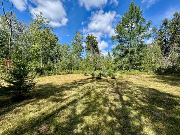 TBD River Forest Road, Roseau, MN 56751