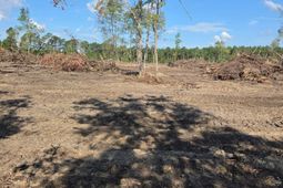 2850 Gause Rd.  photo 4