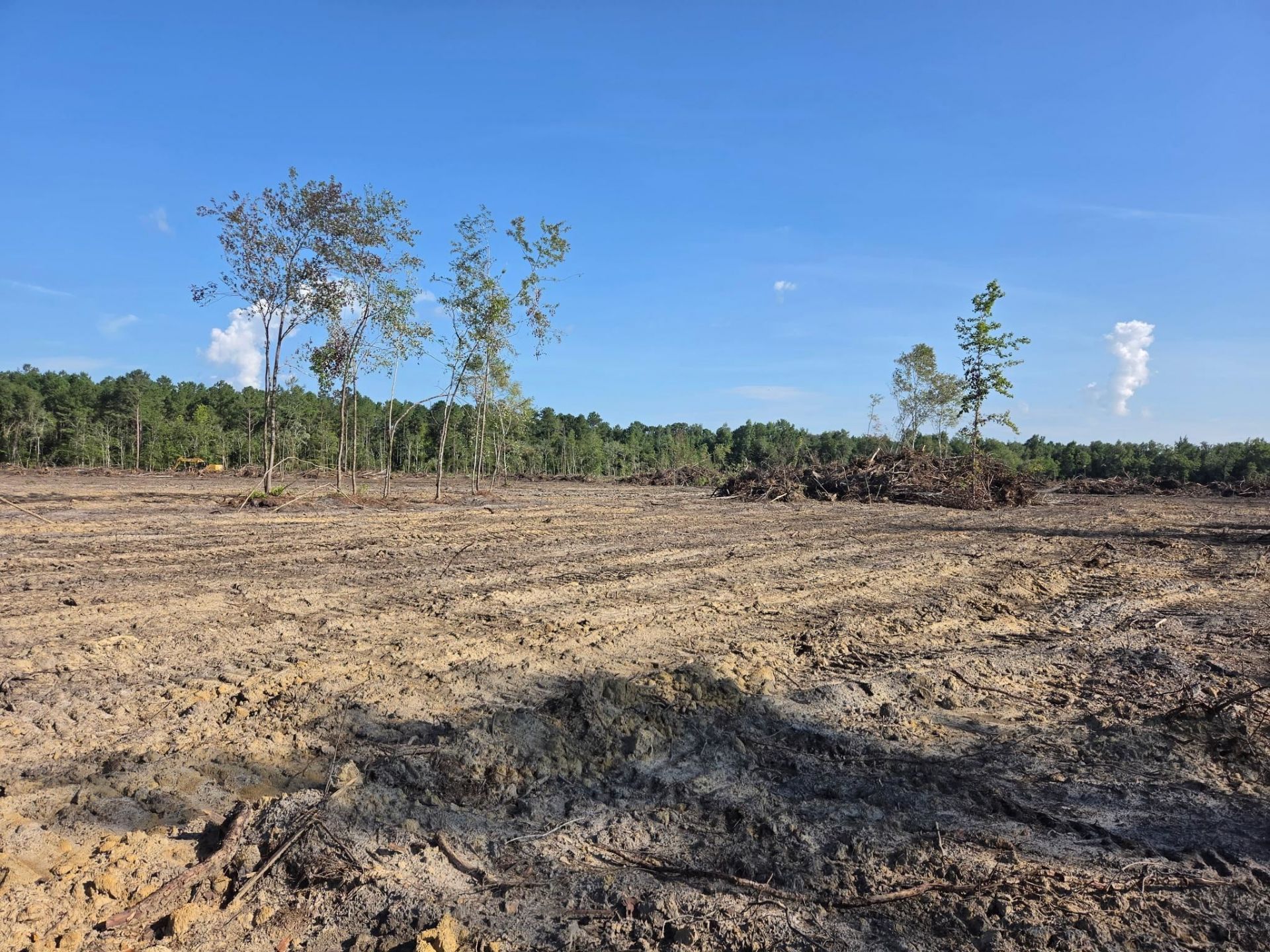 2850 Gause Rd.  Photo 4