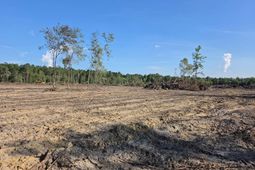 2850 Gause Rd.  photo 4