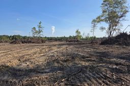 2850 Gause Rd.  photo 4
