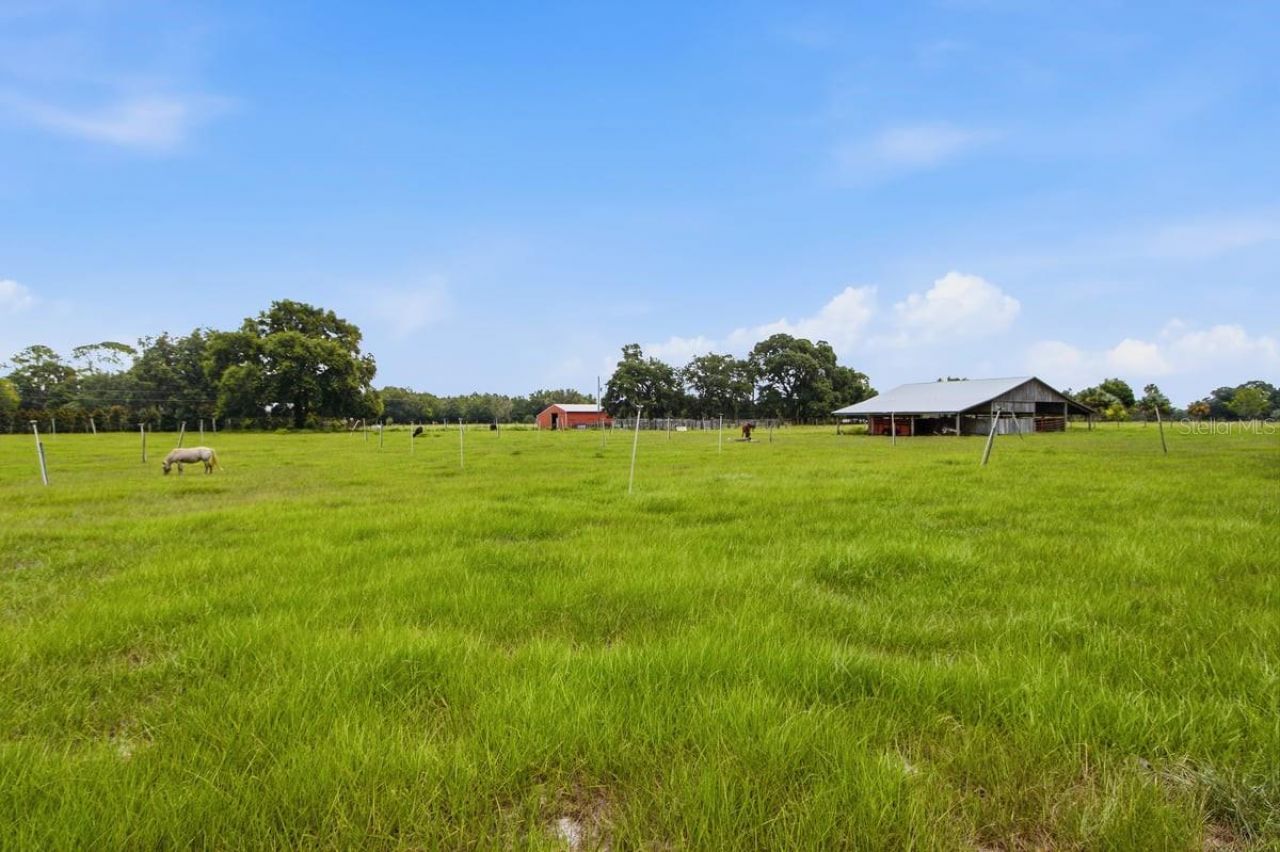 2259 Brownlee Road, Seville, FL 32190 Photo